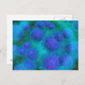 Mikroskopische Sicht von Diplococcus Bacterium Postkarte (Vorne/Hinten)