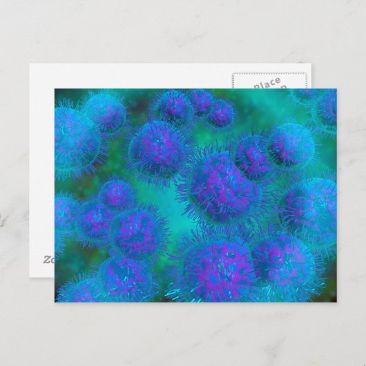 Mikroskopische Sicht von Diplococcus Bacterium Postkarte (Vorne/Hinten)