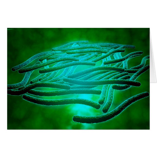 Mikroskopische Sicht von Legionella Pneumophila 1 (Vorderseite (Horizontal))