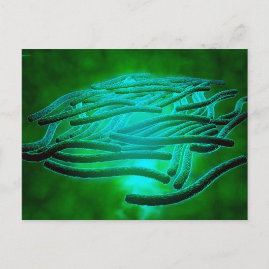 Mikroskopische Sicht von Legionella Pneumophila 1 Postkarte (Vorderseite)