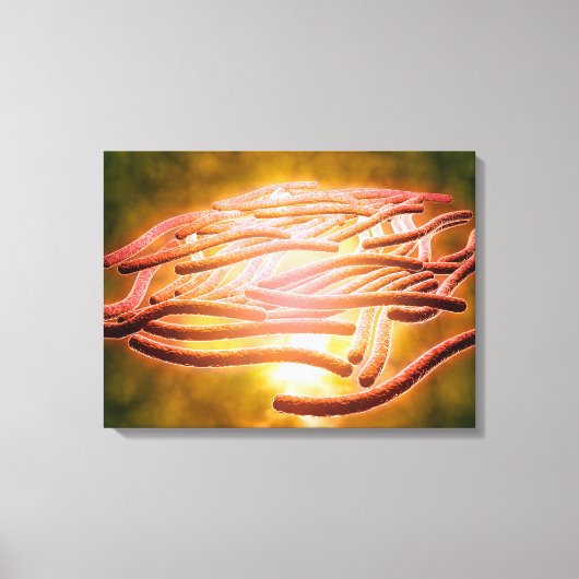 Mikroskopische Sicht von Legionella Pneumophila 2 Leinwanddruck (Vorderseite)