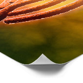 Mikroskopische Sicht von Legionella Pneumophila 2 Poster (Ecke)