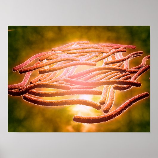 Mikroskopische Sicht von Legionella Pneumophila 2 Poster (Vorne)