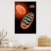 Mikroskopische Sicht von Mitochondrien 1 Poster (Küche)