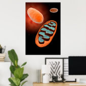 Mikroskopische Sicht von Mitochondrien 1 Poster (Heimbüro)