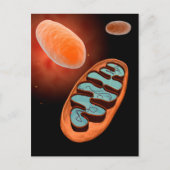 Mikroskopische Sicht von Mitochondrien 1 Postkarte (Vorderseite)