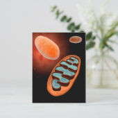 Mikroskopische Sicht von Mitochondrien 1 Postkarte (Stehend Vorderseite)