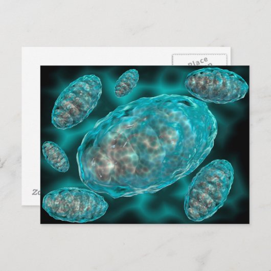 Mikroskopische Sicht von Mitochondrien 2 Postkarte (Vorne/Hinten)