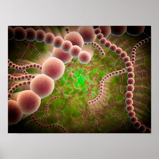 Mikroskopische Sicht von Streptococcus Pneumoniae Poster (Vorne)