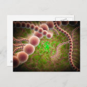 Mikroskopische Sicht von Streptococcus Pneumoniae Postkarte (Vorne/Hinten)
