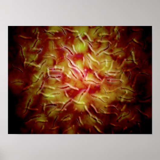 Mikroskopische Spermienansicht Poster (Vorne)