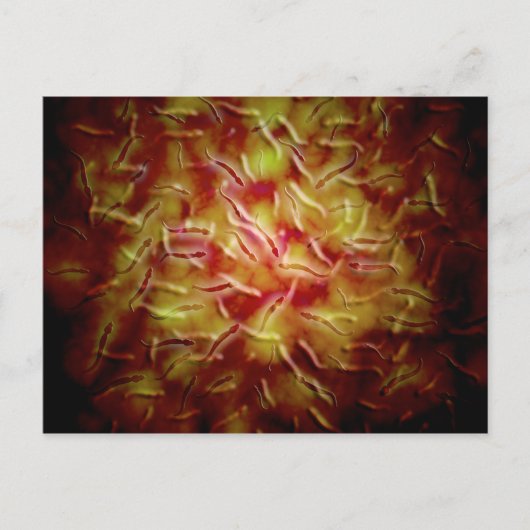 Mikroskopische Spermienansicht Postkarte (Vorderseite)
