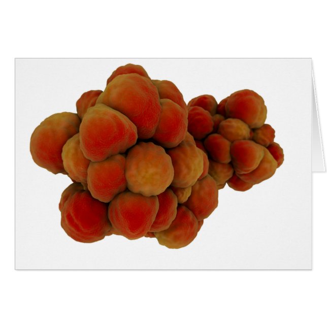 Mikroskopische Tumoransicht 4 (Vorderseite (Horizontal))