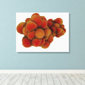 Mikroskopische Tumoransicht 4 Leinwanddruck (Insitu (Holzboden))