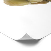 Mikroskopische Tumoransicht 5 Poster (Ecke)