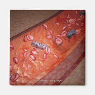 Mikroskopische Wiedergabe einer Blutinfektion Magnet