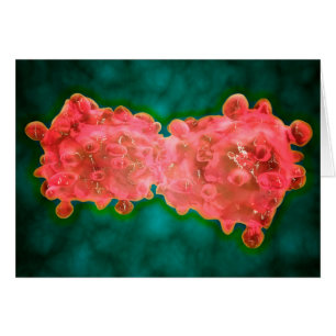 Mikroskopischer Anblick einer Leukämiezelle