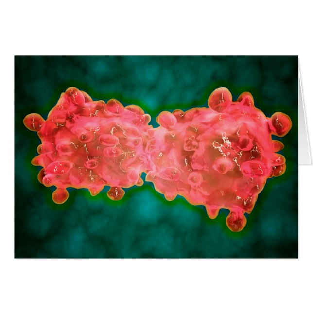 Mikroskopischer Anblick einer Leukämiezelle (Vorderseite (Horizontal))