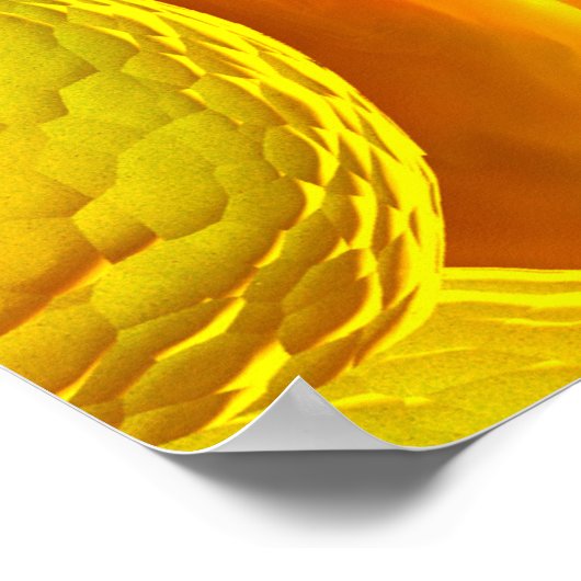 Mikroskopischer Blick auf Chlamydien Poster (Ecke)