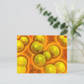 Mikroskopischer Blick auf Chlamydien Postkarte (Stehend Vorderseite)