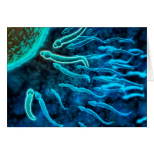 Mikroskopischer Blick von Spermien, die gegen Ei s