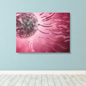 Mikroskopischer Blick von Spermien, die gegen Ei s Leinwanddruck (Insitu (Holzboden))