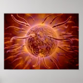 Mikroskopischer Blick von Spermien, die gegen Ei s Poster (Vorne)