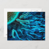 Mikroskopischer Blick von Spermien, die gegen Ei s Postkarte (Vorne/Hinten)