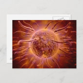 Mikroskopischer Blick von Spermien, die gegen Ei s Postkarte (Vorne/Hinten)