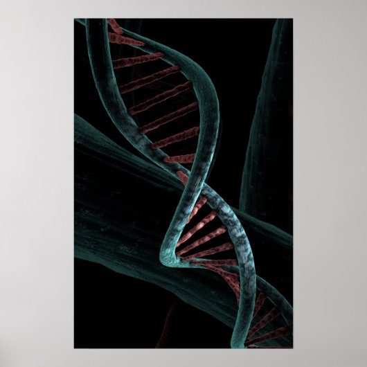 Mikroskopischer Code der DNA-Doppelhelix Poster (Vorne)