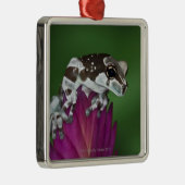 Milch-Frosch, Trachycephalus resinifictrix Silbernes Ornament (Rechts)