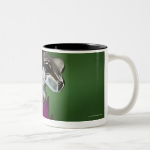 Milch-Frosch, Trachycephalus resinifictrix Zweifarbige Tasse