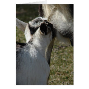 Milch ist gut