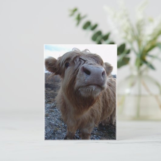 Milch? Postkarte (Stehend Vorderseite)