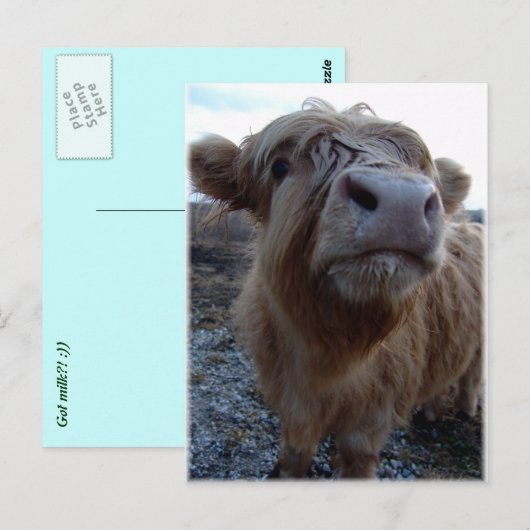 Milch? Postkarte (Vorne/Hinten)