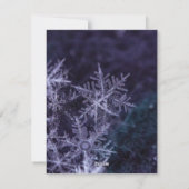 Milch und Cookies für Santa Feiertagskarte (Rückseite)