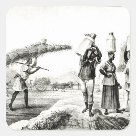 Milch- und Kaiserlieferanten Quadratischer Aufkleber (Vorderseite)