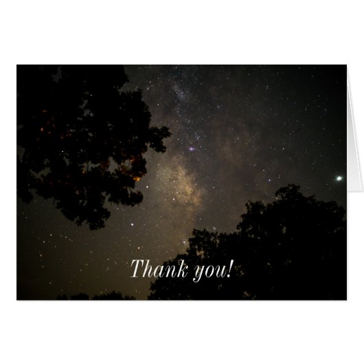 Milchbaume (Vorderseite (Horizontal))