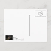 Milchbaume Postkarte (Rückseite)