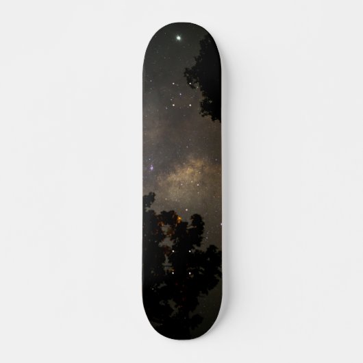 Milchbaume Skateboard (Vorne)