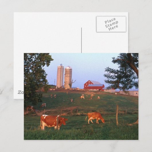 Milchbetrieb Postkarte (Vorne/Hinten)