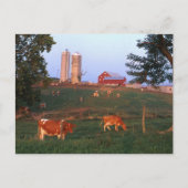 Milchbetrieb Postkarte (Vorderseite)