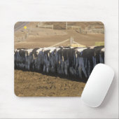 'Milchbetrieb zum füttre, Point Reyes, CA' Mousepad (Mit Mouse)