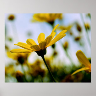 Milcherzeugnisse Poster