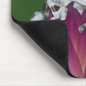 Milchfrosch, Trachycephalus resinifictrix Mousepad (Ecke)