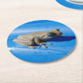 Milchfrösche auf einem Untersetzer mit Schwimmbeck (Angewinkelt)