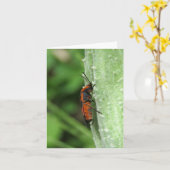 Milchkäfer und Pod - Blankokarte Karte (Gelbe Blume)