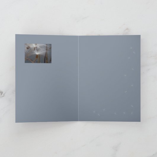 Milchkraut Karte (Innenseite)