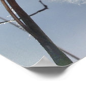 Milchkraut Poster (Ecke)