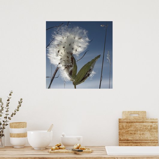 Milchkraut Poster (Küche)